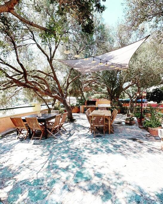 Villa Antonia Calvi  Extérieur photo