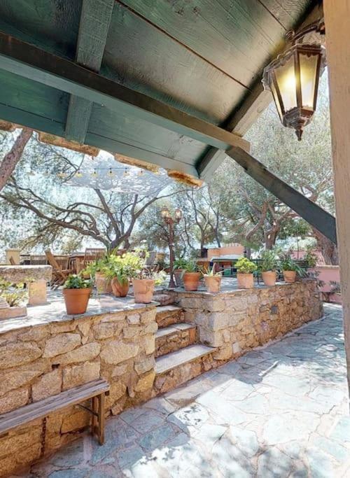 Villa Antonia Calvi  Extérieur photo