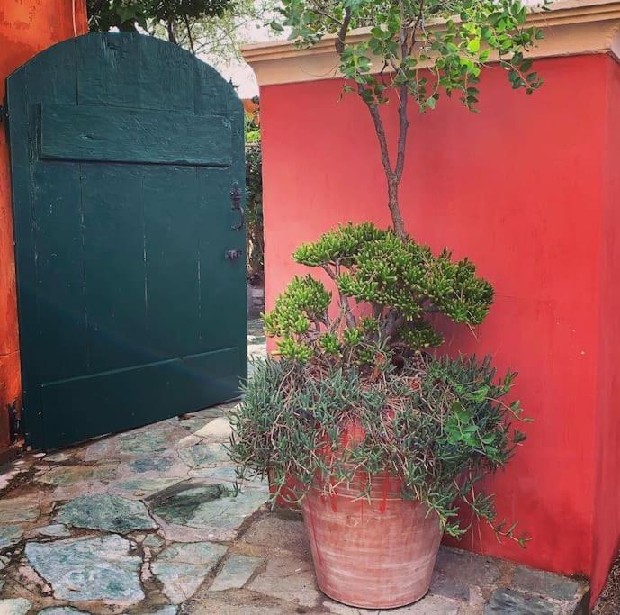 Villa Antonia Calvi  Extérieur photo