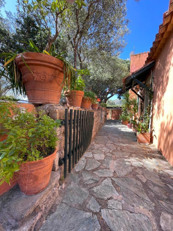 Villa Antonia Calvi  Extérieur photo